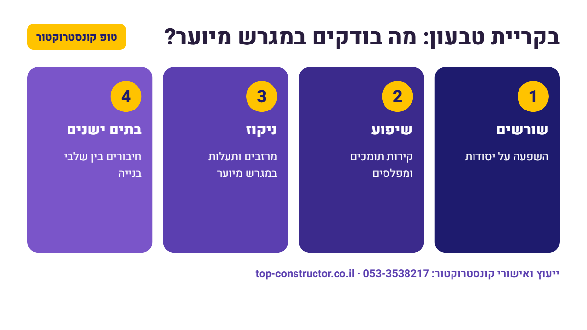 בקריית טבעון: מה בודקים במגרש מיוער – אינפוגרפיקה